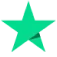 Trustpilot rating star icon