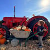 Pumpkin patch tractor display at Cannon Hall Farm