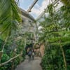 Monsoon Forest at Chester Zoo