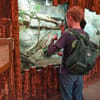 Family exploring animal habitats at Chester Zoo