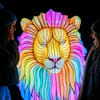 Lion lantern at Edinburgh Zoo Giant Lanterns