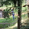 Zip World suspended forest obstacle course