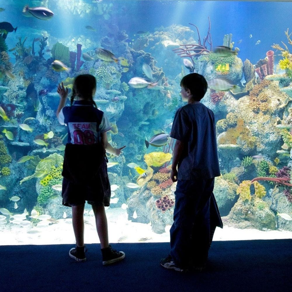 Bristol Aquarium