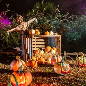 Halloween pumpkins at Blenheim Palace