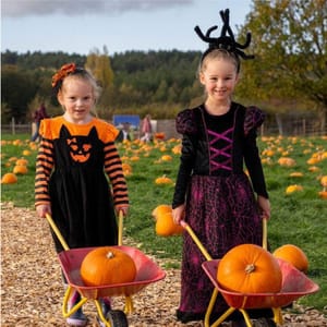 Children with pumpkins at Cannon Hall Farm