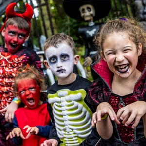 Halloween fun at Stockeld Park