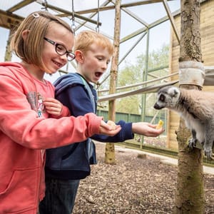 Hoo Zoo and Dinosaur World image 1