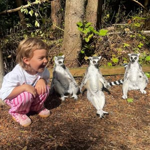 Hoo Zoo and Dinosaur World image 2