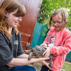 Hoo Zoo and Dinosaur World image 3