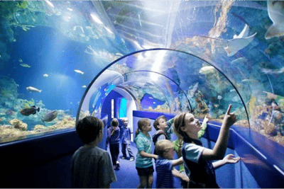 Aquariums