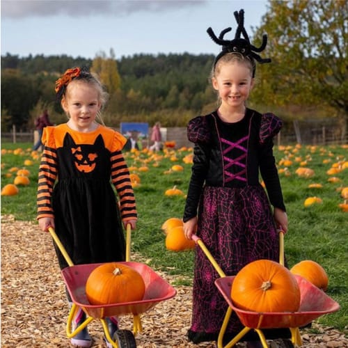 Children with pumpkins at Cannon Hall Farm