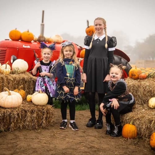 Halloween costumes at Cannon Hall Farm