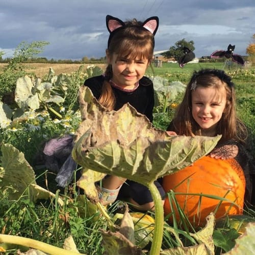Pumpkins@ Lower Drayton Farm