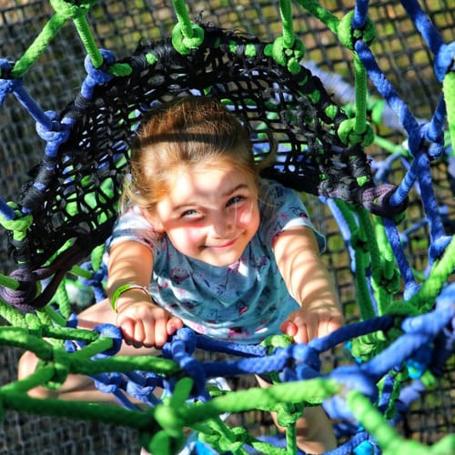 Treetop Nets - Zip World