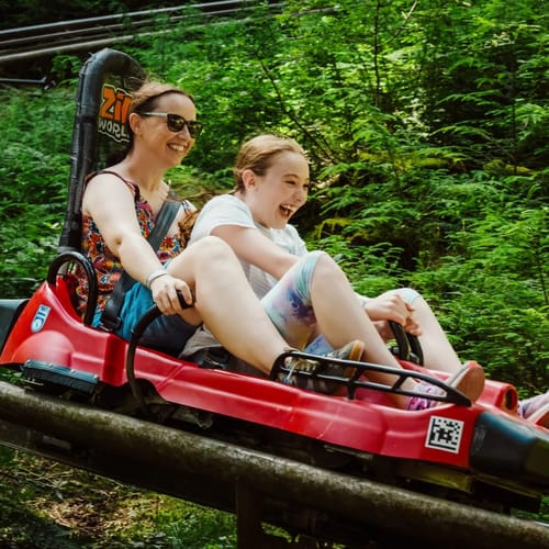 Zip World forest coaster ride