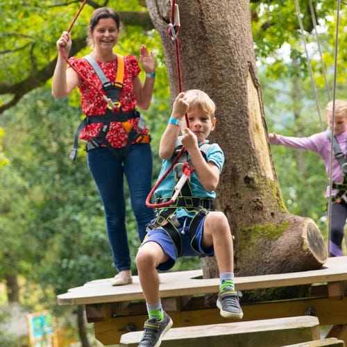 Zip World family tree adventure