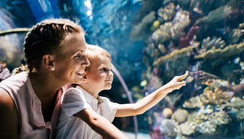 Aquariums