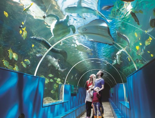 Oceanarium Bournemouth