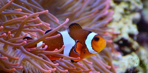 Bristol Aquarium