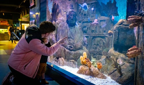 Deep Sea World