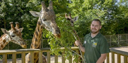 Dudley Zoo
