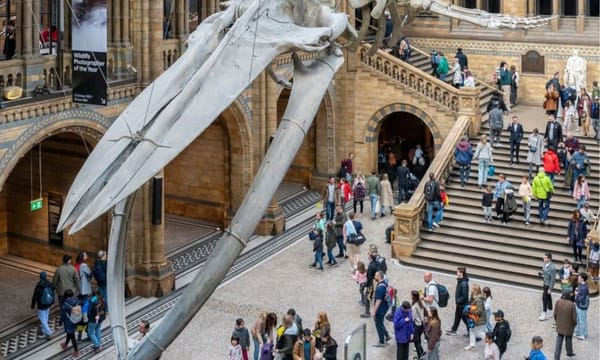 Kids visiting a free museum on a rainy day