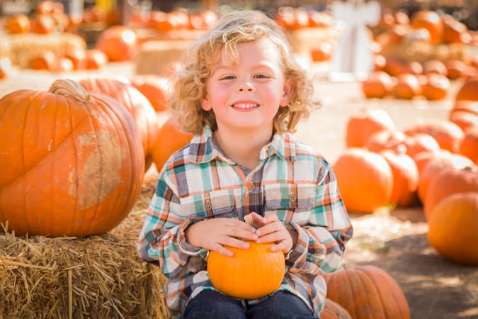 Exciting Pumpkin Festivals in the UK (Autumn 2025)