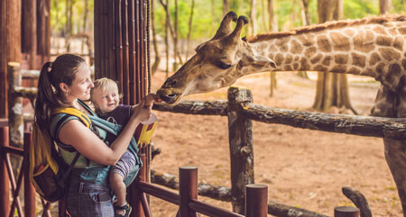 woman and child feeding a giraffe