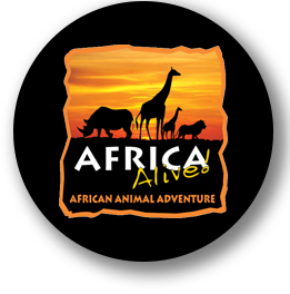 africa alive badge logo