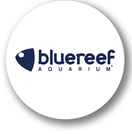 blue reef aquarium badge logo