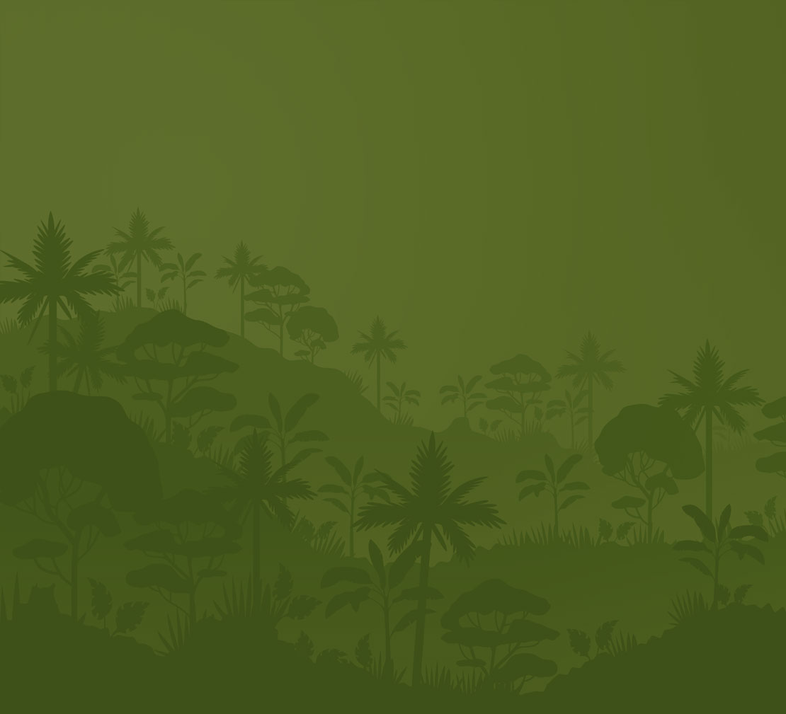 green jungle background