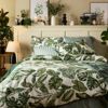 B&M Bedding and Home Furnishings Collection