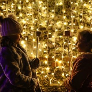 Christmas lights at Marwell Fire & Ice