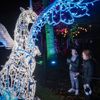 Fire & Ice illuminated trail at Marwell