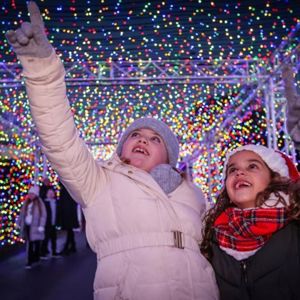Children enjoying illuminated displays at Marwell