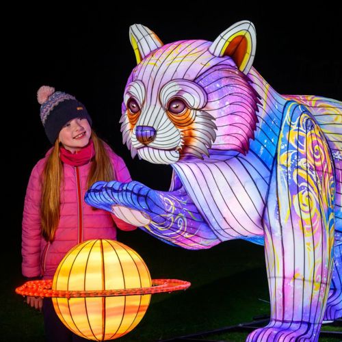 Edinburgh Zoo's Giant Lanterns