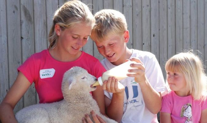 Best Farm Parks and Animal Days Out With Kids This Summer