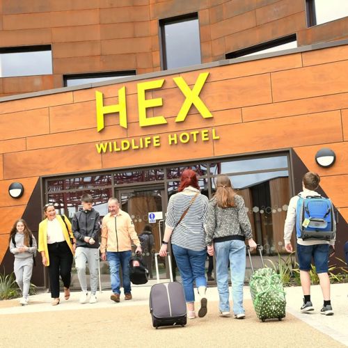 Hex Wildlife Hotel