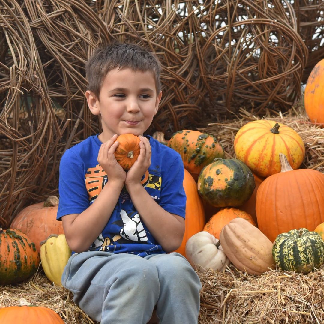 Pumpkin photo spot at Hobbledown Epsom