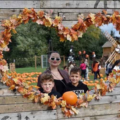 Autumn photo spot at Hobbledown Heath