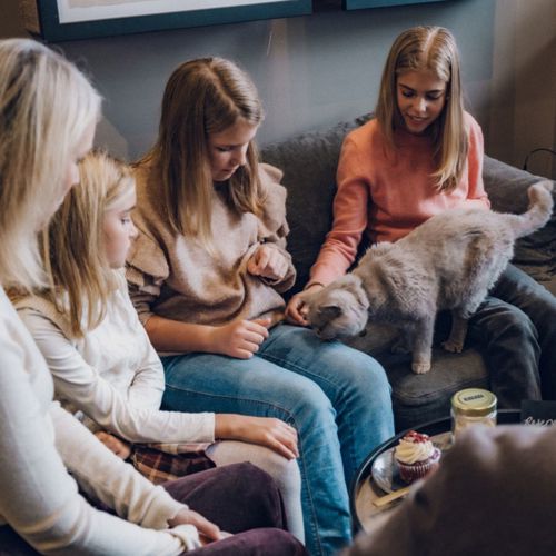 Java Whiskers Cat Café