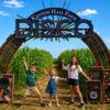 Kenyon Hall Farm Disco Maize Maze entrance