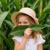 Child exploring Kenyon Hall Farm Maize Maze