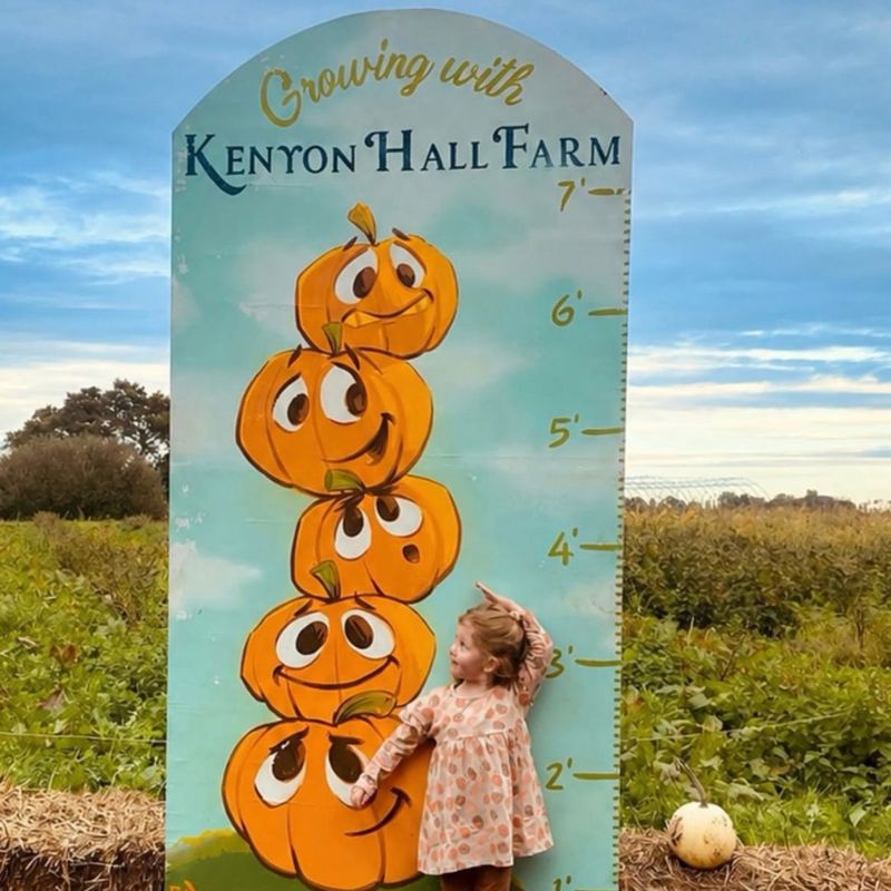 Kenyon Hall Farm pumpkin height chart
