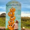 Kenyon Hall Farm pumpkin height chart