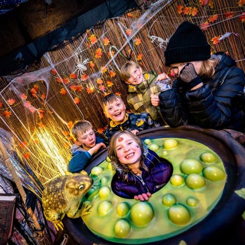 Children enjoying Halloween fun at Landmark Forest Adventure Park