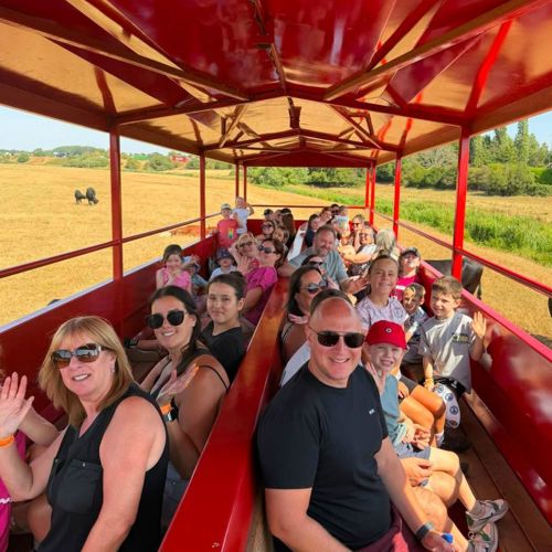 Family farm trailer ride at Lower Drayton Farm
