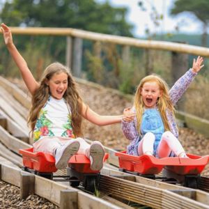 Children enjoying grass toboggans