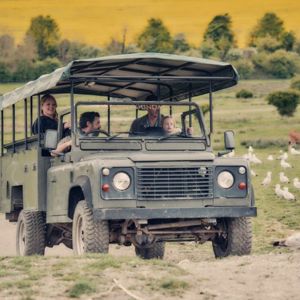 Safari truck experience at Port Lympne Reserve