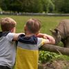 Children watching animals at Port Lympne Reserve